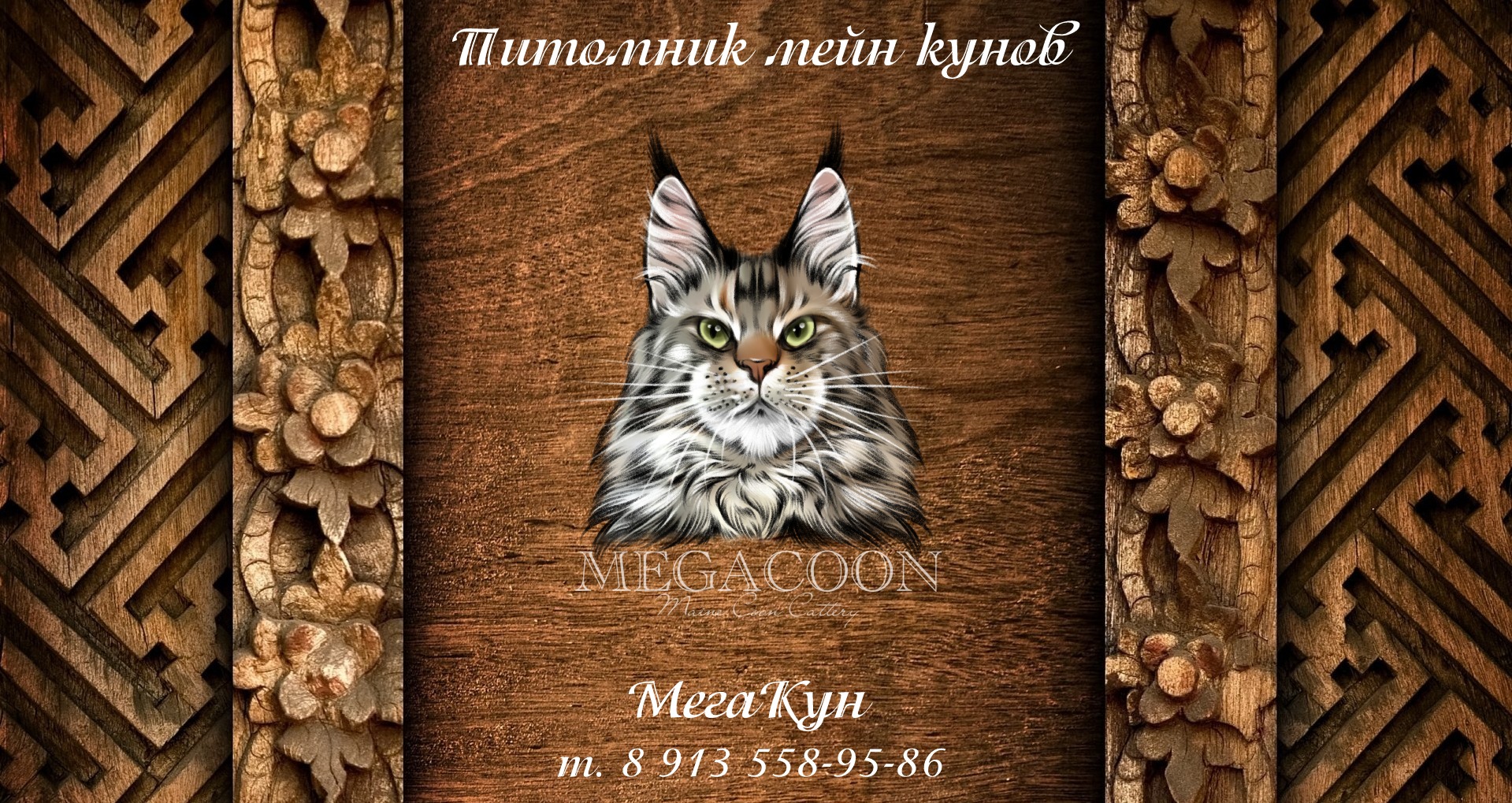 Чистокровные котята мейн куны из питомника в Красноярске с документами.